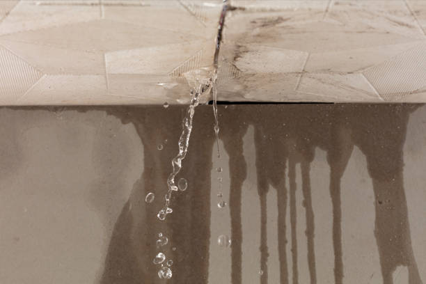 Professional Sewage Cleanup technician working in Aledo, IL
